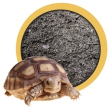 12973285221