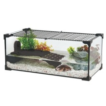 14589944074