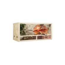 14823172974