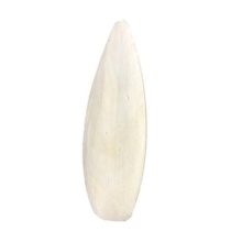 15290413261