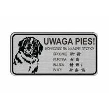16217166579