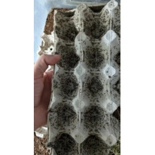 16404060210