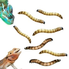 16877148702