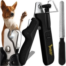 17185348568