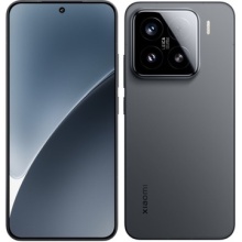 17305455615