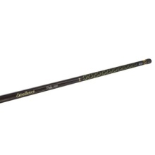 8661541319